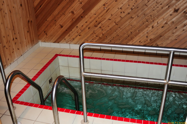 The Mikveh
